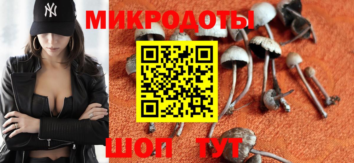 Псилоцибиновые грибы прущие грибы  Вход с VPN  Лабытнанги 
